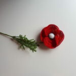 Mohn